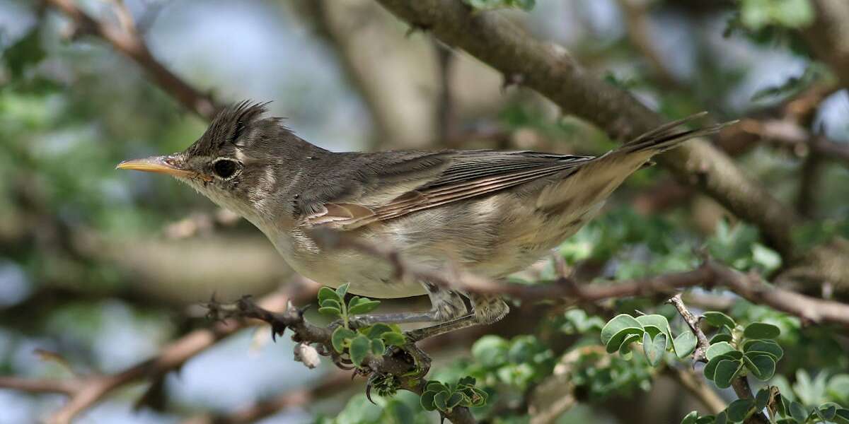 découvrez notre service de création de chaînes personnalisées. offrez-vous une touche unique avec des options sur mesure pour vos projets, événements ou cadeaux. transformez vos idées en réalité grâce à notre expertise en personnalisation.