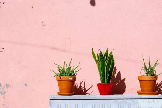 découvrez l'univers chaleureux et intemporel de la terracotta. idéale pour la décoration intérieure et extérieure, la terracotta apporte une touche rustique et élégante à votre espace. explorez nos conseils, inspirations et tendances pour intégrer ce matériau naturel dans votre décoration.